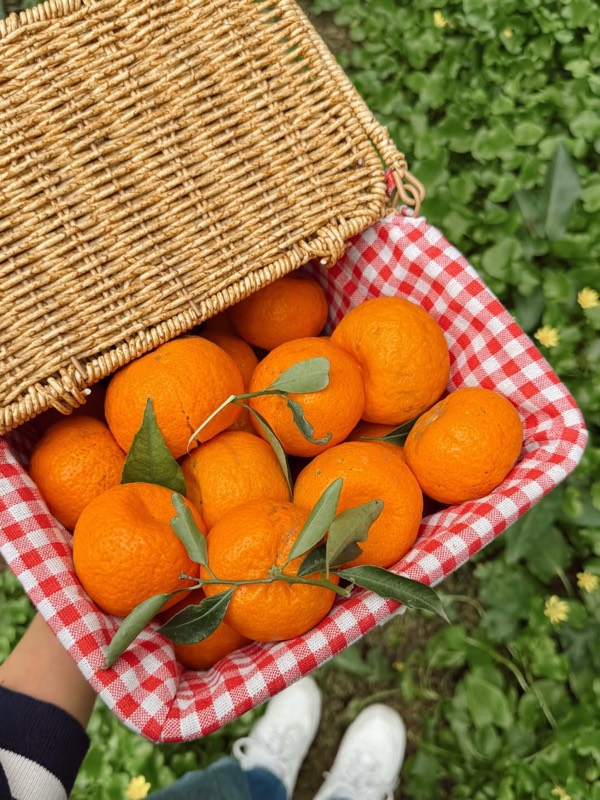 @cevriyenin.bahcesi